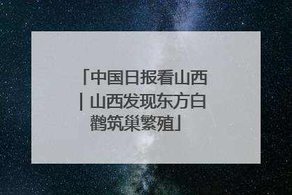 中国日报看山西｜山西发现东方白鹳筑巢繁殖
