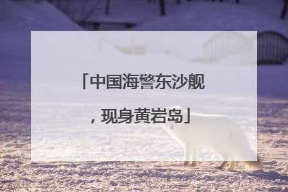 中国海警东沙舰，现身黄岩岛