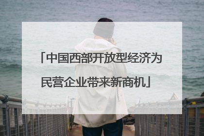 中国西部开放型经济为民营企业带来新商机