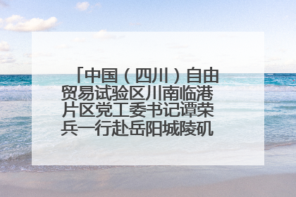 中国（四川）自由贸易试验区川南临港片区党工委书记谭荣兵一行赴岳阳城陵矶综保区考察