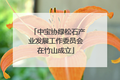 中宝协绿松石产业发展工作委员会在竹山成立