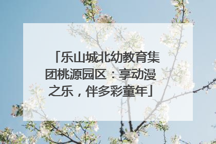 乐山城北幼教育集团桃源园区：享动漫之乐，伴多彩童年