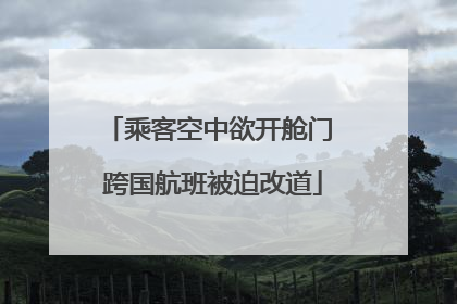 乘客空中欲开舱门 跨国航班被迫改道