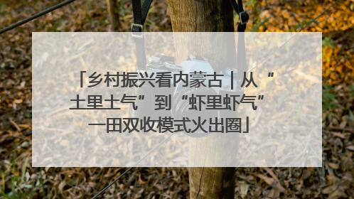 乡村振兴看内蒙古｜从“土里土气”到“虾里虾气” 一田双收模式火出圈