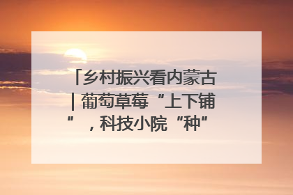 乡村振兴看内蒙古｜葡萄草莓“上下铺”，科技小院“种”出三倍效益