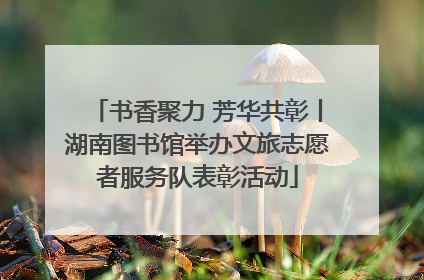 书香聚力 芳华共彰丨湖南图书馆举办文旅志愿者服务队表彰活动