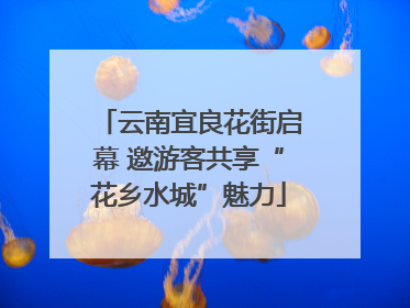 云南宜良花街启幕 邀游客共享“花乡水城”魅力
