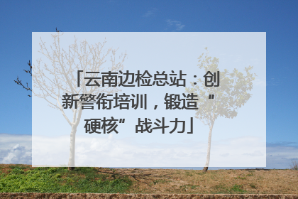 云南边检总站：创新警衔培训，锻造“硬核”战斗力
