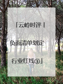 云岭时评丨负面清单划定行业红线③