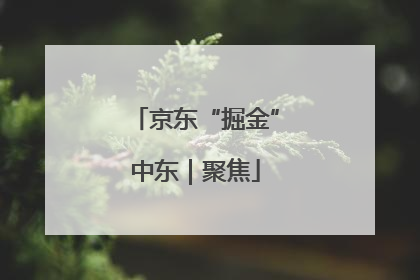 京东“掘金”中东｜聚焦