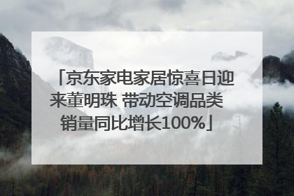 京东家电家居惊喜日迎来董明珠 带动空调品类销量同比增长100%