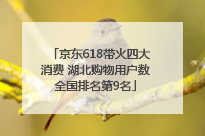 京东618带火四大消费 湖北购物用户数全国排名第9名