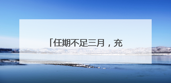 任期不足三月，充电宝品牌罗马仕法定代表人再变更