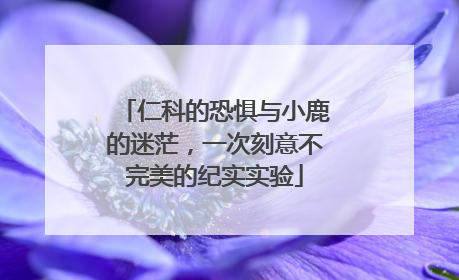 仁科的恐惧与小鹿的迷茫，一次刻意不完美的纪实实验