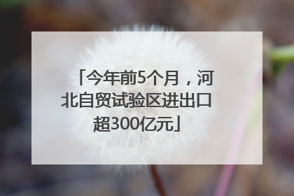 今年前5个月，河北自贸试验区进出口超300亿元