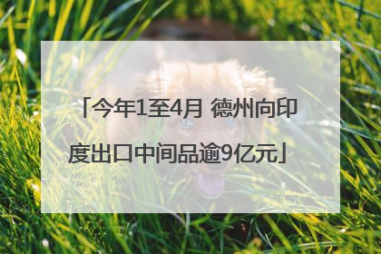 今年1至4月 德州向印度出口中间品逾9亿元