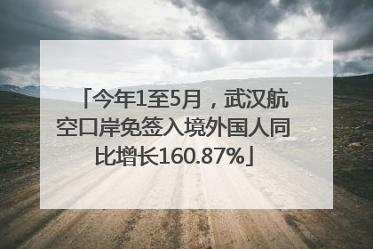 今年1至5月，武汉航空口岸免签入境外国人同比增长160.87%