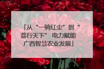 从“一骑红尘”到“荔行天下” 电力赋能广西智慧农业发展