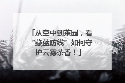 从空中到茶园，看“藏蓝防线”如何守护云雾茶香！
