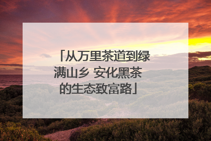 从万里茶道到绿满山乡 安化黑茶的生态致富路