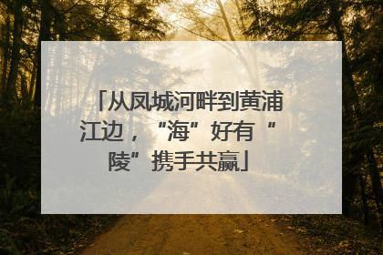 从凤城河畔到黄浦江边，“海”好有“陵”携手共赢