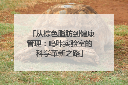 从棕色脂肪到健康管理：呜咔实验室的科学革新之路