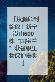 从濒危到绽放！新宁崀山600株“国宝兰”获省级生物保护嘉奖