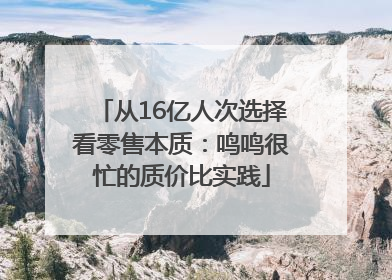 从16亿人次选择看零售本质：鸣鸣很忙的质价比实践