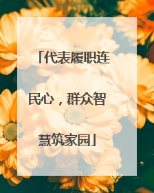 代表履职连民心，群众智慧筑家园