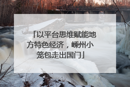 以平台思维赋能地方特色经济，嵊州小笼包走出国门
