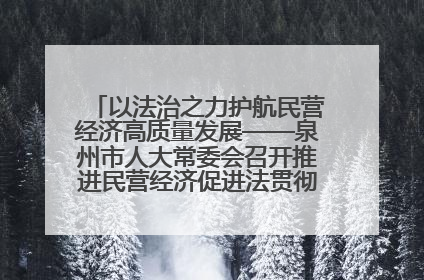 以法治之力护航民营经济高质量发展——泉州市人大常委会召开推进民营经济促进法贯彻实施座谈会