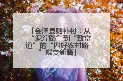 会泽县则补村：从“泥泞路”到“致富道”的“四好农村路”蝶变新篇