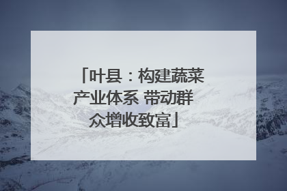 叶县：构建蔬菜产业体系 带动群众增收致富