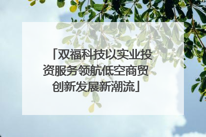双福科技以实业投资服务领航低空商贸创新发展新潮流