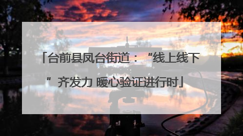 台前县凤台街道：“线上线下”齐发力 暖心验证进行时