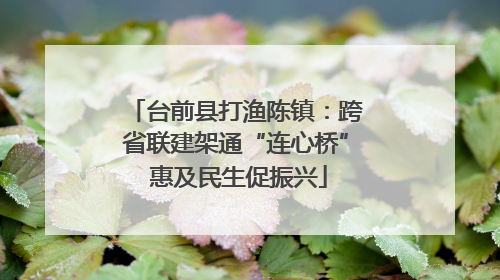 台前县打渔陈镇：跨省联建架通“连心桥” 惠及民生促振兴