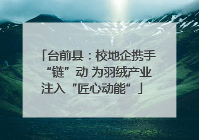 台前县：校地企携手“链”动 为羽绒产业注入“匠心动能”