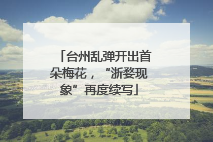 台州乱弹开出首朵梅花，“浙婺现象”再度续写