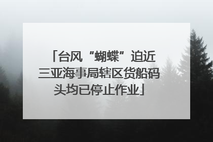 台风“蝴蝶”迫近 三亚海事局辖区货船码头均已停止作业