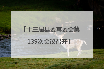 十三届县委常委会第139次会议召开