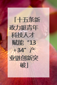 十五条新政力挺青年科技人才 赋能“13+34”产业链创新突破