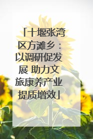 十堰张湾区方滩乡：以调研促发展 助力文旅康养产业提质增效