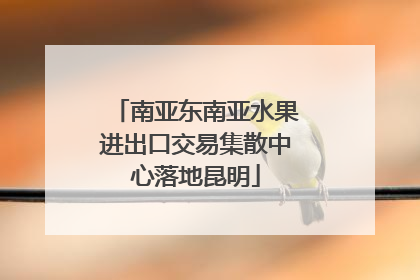 南亚东南亚水果进出口交易集散中心落地昆明