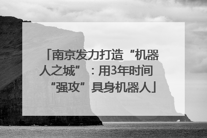 南京发力打造“机器人之城”：用3年时间“强攻”具身机器人