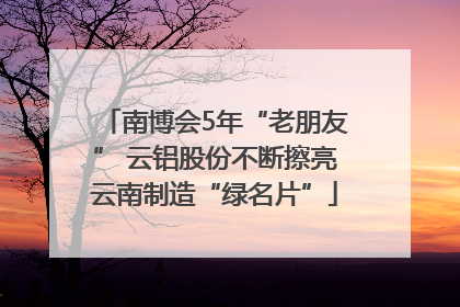 南博会5年“老朋友” 云铝股份不断擦亮云南制造“绿名片”