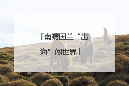 南靖国兰“出海”闯世界
