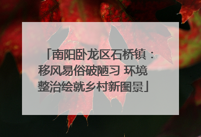 南阳卧龙区石桥镇：移风易俗破陋习 环境整治绘就乡村新图景