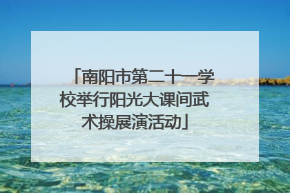 南阳市第二十一学校举行阳光大课间武术操展演活动