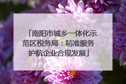 南阳市城乡一体化示范区税务局：精准服务护航企业合规发展