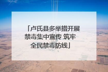卢氏县多举措开展禁毒集中宣传 筑牢全民禁毒防线